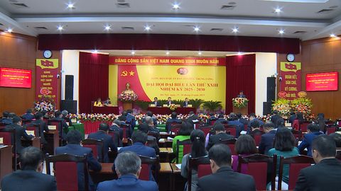 Không ngừng nâng tầm tham mưu chiến lược về công tác tổ chức xây dựng Đảng
