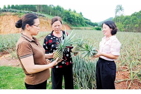 Phân công nhiệm vụ cho đảng viên: Đúng người, rõ việc, phát huy sức mạnh tập thể