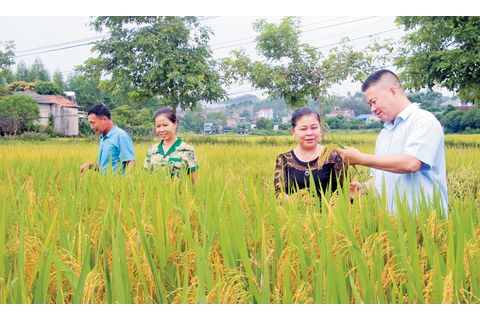 Nâng cao chất lượng tổ chức đảng, đảng viên: Những cách làm sáng tạo, hiệu quả