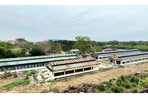 Bảo đảm doanh nghiệp hoạt động hiệu quả sau thoái vốn Nhà nước