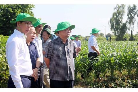 Phó Chủ tịch Quốc hội Lê Minh Hoan khảo sát các vùng sản xuất tại An Giang