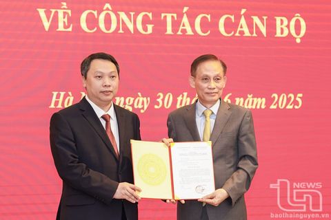 Đồng chí Nguyễn Huy Dũng giữ chức Ủy viên chuyên trách Ban Chỉ đạo Trung ương về khoa học, công nghệ, đổi mới sáng tạo và chuyển đổi số