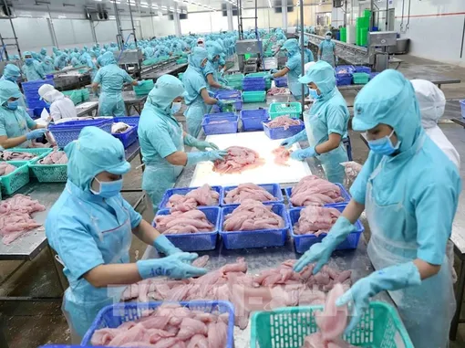 Phản bác quan điểm sai trái, xuyên tạc dự thảo các văn kiện của Đảng về các thành phần kinh tế 