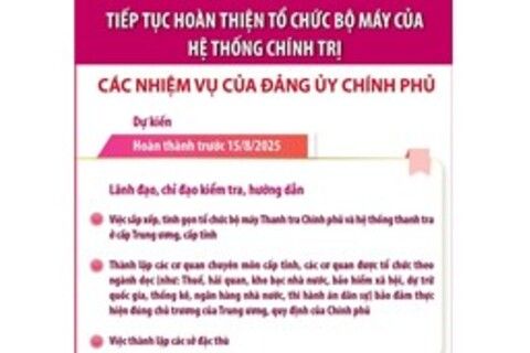 Tiếp tục hoàn thiện tổ chức bộ máy: Các nhiệm vụ của Đảng ủy Chính phủ