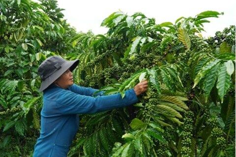 Khơi thông ý thức giảm nghèo trong đồng bào DTTS ở xã Tà Đùng