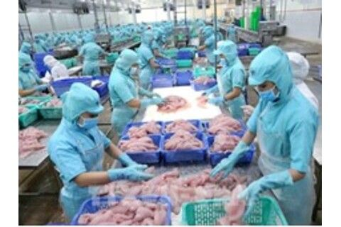 Phản bác quan điểm sai trái, xuyên tạc dự thảo các văn kiện của Đảng về các thành phần kinh tế