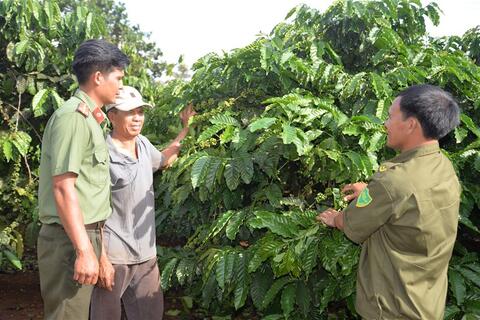 Gia Lai: Lực lượng An ninh trật tự ở cơ sở bảo vệ bình yên thôn xóm