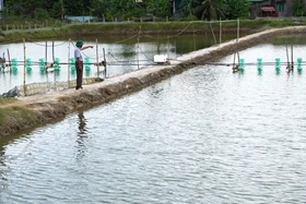 Tổng sản lượng khai thác thủy sản đạt hơn 66.500 tấn