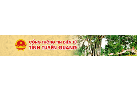 Tin nổi bật