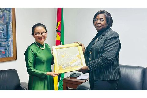 Mozambique mong muốn tăng cường hợp tác với Việt Nam trong các lĩnh vực mới