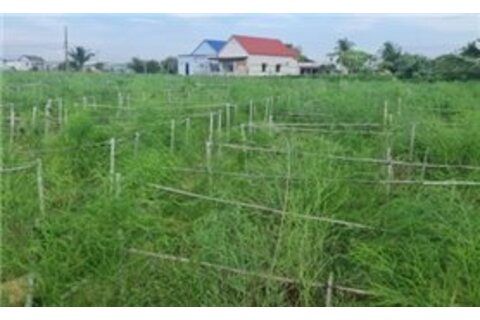 Ninh Thuận: Dòng vốn tín dụng đổi thay vùng đất khó