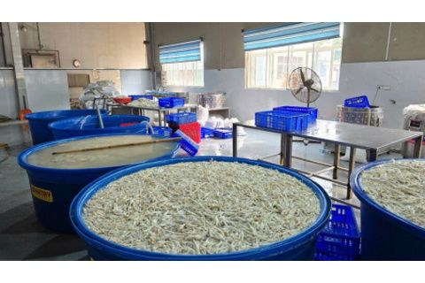 Thanh Hoá: Phát hiện kho chứa 13 tấn chân gà ngâm tẩm hoá chất INTEROX ST 50 (H2O2)