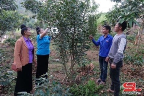 Nâng cao năng lực, sức chiến đấu của tổ chức đảng ở cơ sở