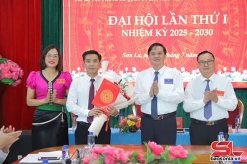 Văn phòng Ủy ban MTTQ Việt Nam tỉnh “Tham mưu giỏi, phục vụ tốt”