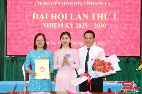 Đẩy mạnh phát triển kinh tế tập thể, HTX giai đoạn mới