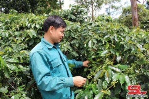 Đảng bộ huyện Thuận Châu học tập và làm theo Bác