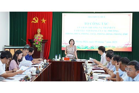 Tổ công tác của Ban Thường vụ Thành ủy làm việc với Đảng ủy các phường Phong Điền, Phong Thái, Phong Dinh và Phong Phú