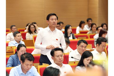 Khó khăn trong giải quyết dứt điểm các cơ sở giết mổ nhỏ lẻ