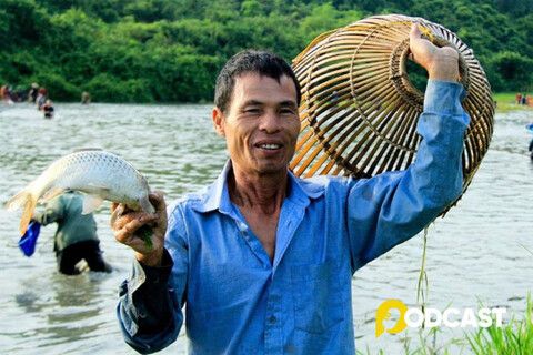 Podcast: Tản văn - Nhớ mùa cá cạn