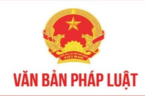 Triển khai thực hiện khoản 20 Điều 1 Luật sửa đổi, bổ sung một số điều của luật Ban hành văn bản quy phạm pháp luật năm 2025