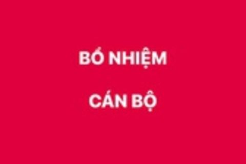 Bổ nhiệm lại Phó Vụ trưởng Vụ Tổ chức cán bộ