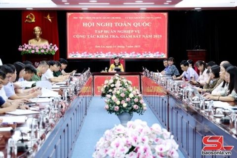 Tập huấn toàn quốc nghiệp vụ công tác kiểm tra, giám sát năm 2025