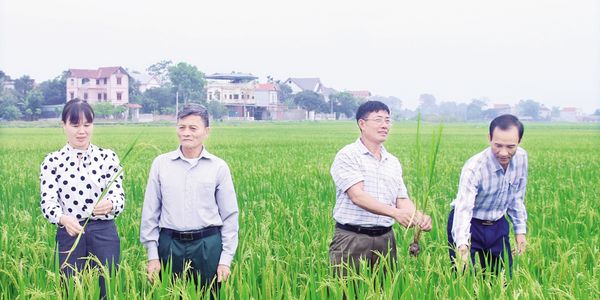 Nghị quyết chi bộ thôn: Rõ việc, tạo chuyển biến ở cơ sở