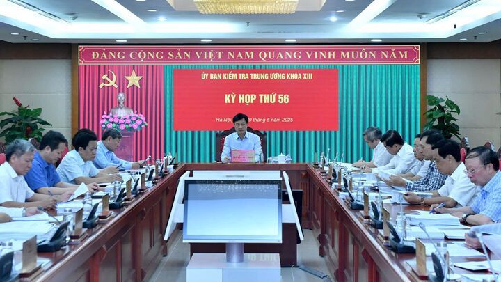 Bộ Chính trị, Ban Bí thư thi hành kỷ luật đảng viên vi phạm