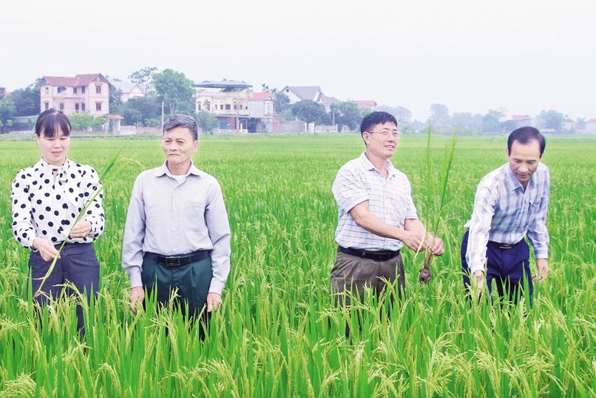 Nghị quyết chi bộ thôn: Rõ việc, tạo chuyển biến ở cơ sở
