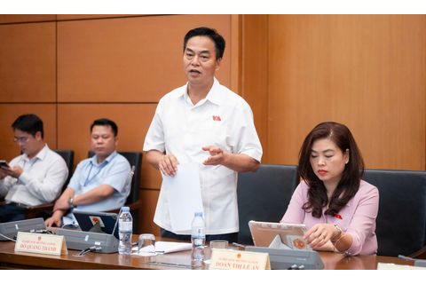 Đoàn đại biểu Quốc hội tỉnh góp ý Dự án Luật Tham gia lực lượng gìn giữ hòa bình của Liên hợp quốc
