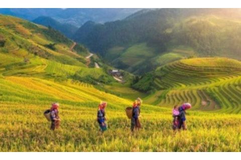 Yên Bái đổi mới sáng tạo, nâng những ước mơ xa
