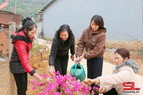 Khơi dậy sức sáng tạo và trách nhiệm của hội viên
