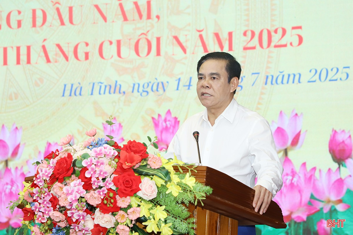 Chủ tịch UBND tỉnh Võ Trọng Hải kết luận hội nghị. bqbht_br_16.jpg