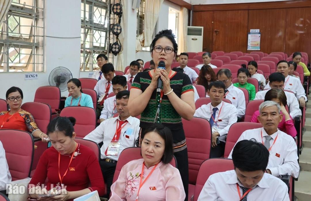 Đại biểu thảo 