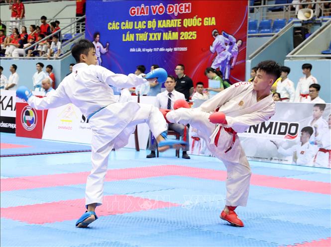 Khai mạc Giải vô địch các Câu lạc bộ Karate quốc gia - Ảnh 2. Khai mạc Giải vô địch các Câu lạc bộ Karate quốc gia - Ảnh 2.