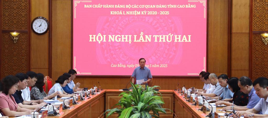 Bí thư Đảng ủy các cơ quan Đảng tỉnh Triệu Đình Lê phát biểu kết luận hội nghị.